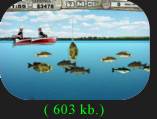 Bass_fishing